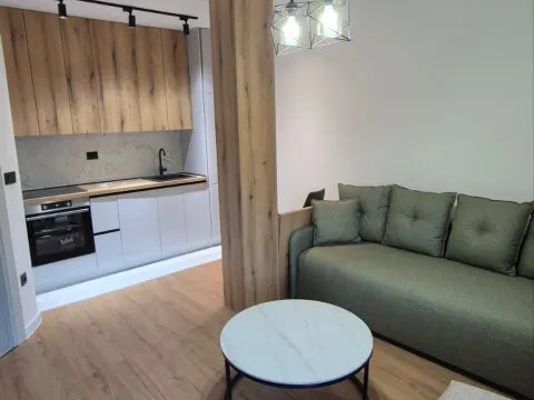 Izdavanje, jednosoban stan, 40m², Gornja Gorica, Podgorica - image 1