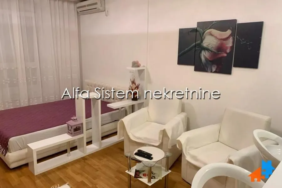 Rent, one bedroom apartment, 35m², Novi Beograd Blok 67, Novi Beograd Sve Podlokacije