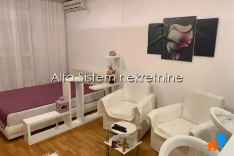 Rent, one bedroom apartment, 35m², Novi Beograd Blok 67, Novi Beograd Sve Podlokacije - image 5
