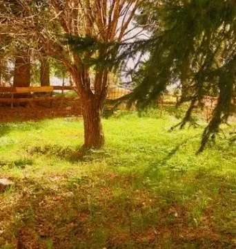 Prodaja, kuća, 80m², Veruša, Podgorica - image 3