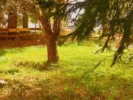 Sale, house, 80m², Veruša, Podgorica - image 3