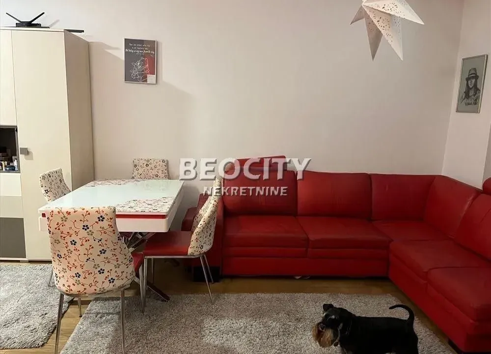Izdavanje, stan, 41m², Banovo Brdo, Beograd