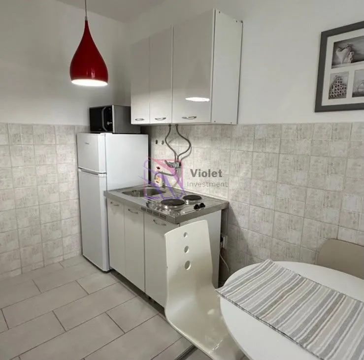 Rent, one bedroom apartment, 45m², Zagorič, Podgorica