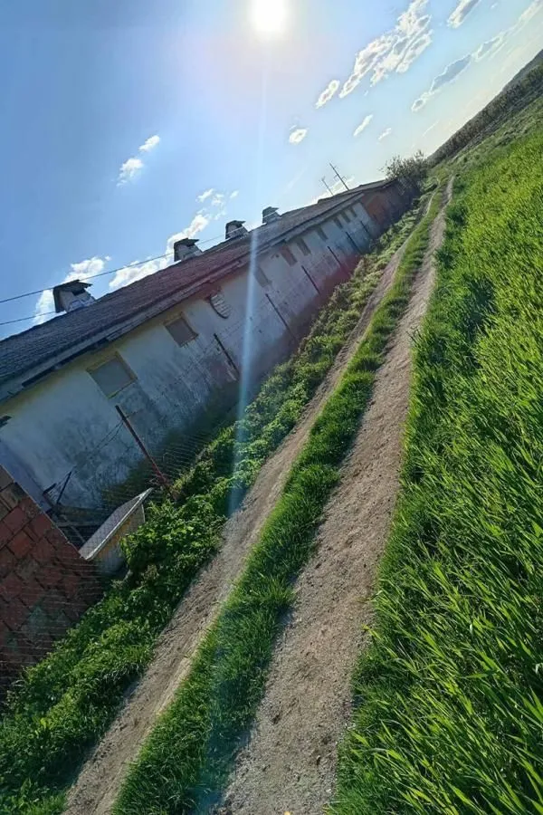 Rent, office space, 500m², Pudarci, Grocka