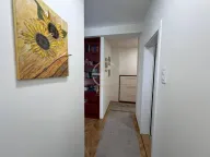 Izdavanje, dvosoban stan, 50m², Grbavica, Novi Sad Sve Podlokacije - image 10