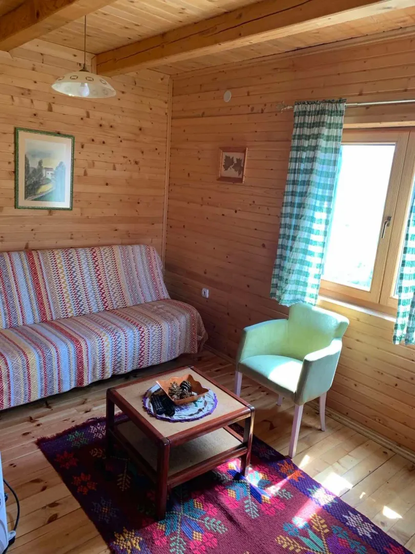 Dnevna soba sa drvenim oblogama na zidovima, garniturom i foteljom.