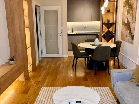 Izdavanje, jednosoban stan, 50m², Central Point, Podgorica - image 8