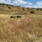 Prodaja, plac, 35832m², Žabljak, Crna Gora - image 7