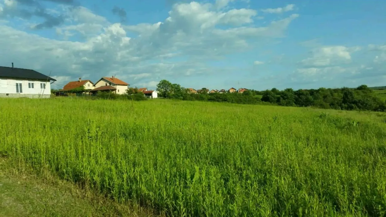 Sale, land lot, 5870m², Sremčica, Beograd