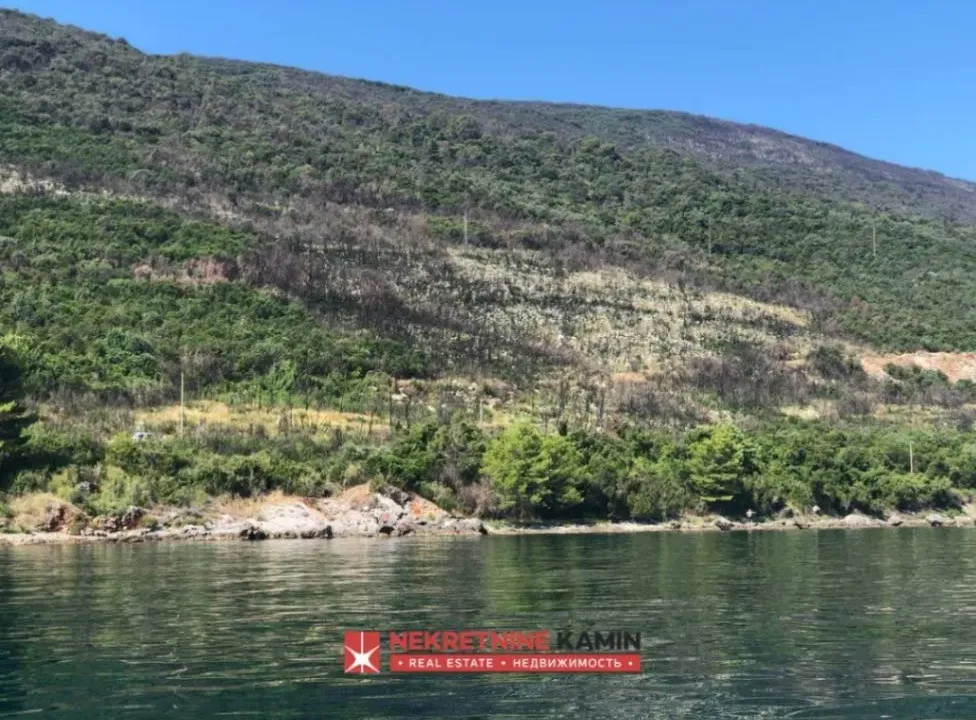 Sale, land lot, 55000m², Krašići, Tivat