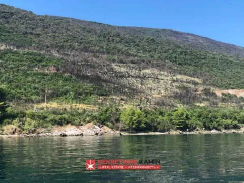 Sale, land lot, 55000m², Krašići, Tivat