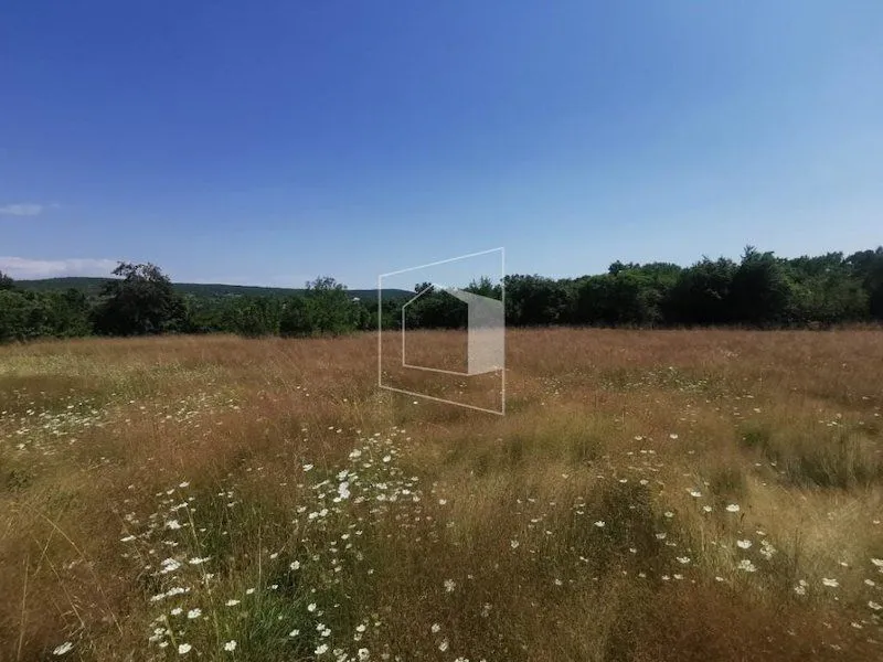 Sale, land lot, 27285m², Danilovgrad, Crna Gora