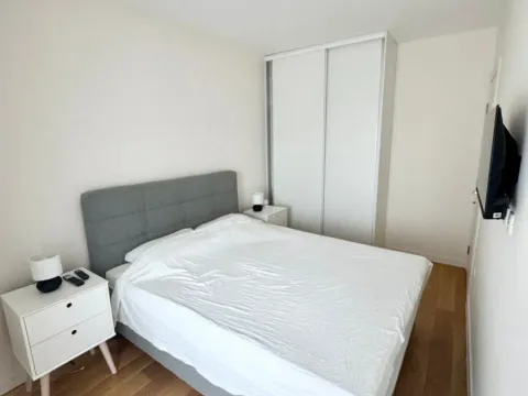 Izdavanje, jednosoban stan, 40m², Central Point, Podgorica - image 20