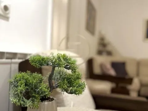 Izdavanje, dvosoban stan, 48m², Centar, Novi Sad - image 10