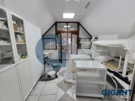 Rent, office space, 294m², Zemun Meandri, Zemun Sve Podlokacije - image 9