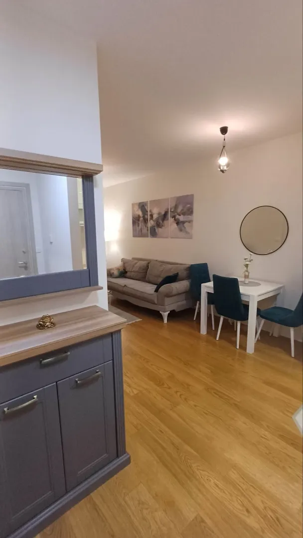 Izdavanje, jednosoban stan, 40m², Central Point, Podgorica