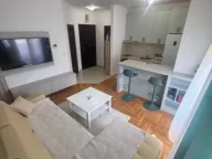 Rent, one bedroom apartment, 40m², Golubovina, Budva - image 5