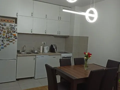 Prodaja, jednosoban stan, 45m², Stari Aerodrom, Podgorica - image 10