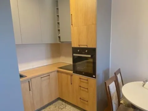 Rent, one bedroom apartment, 48m², Ljubović, Podgorica - image 4