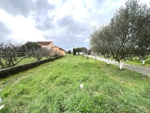 Prodaja, plac, 1204m², Dajbabe, Podgorica - image 3