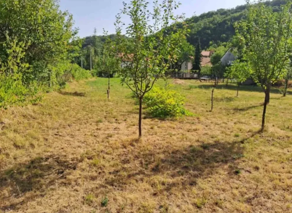 Sale, land lot, 1700m², Bajice, Cetinje
