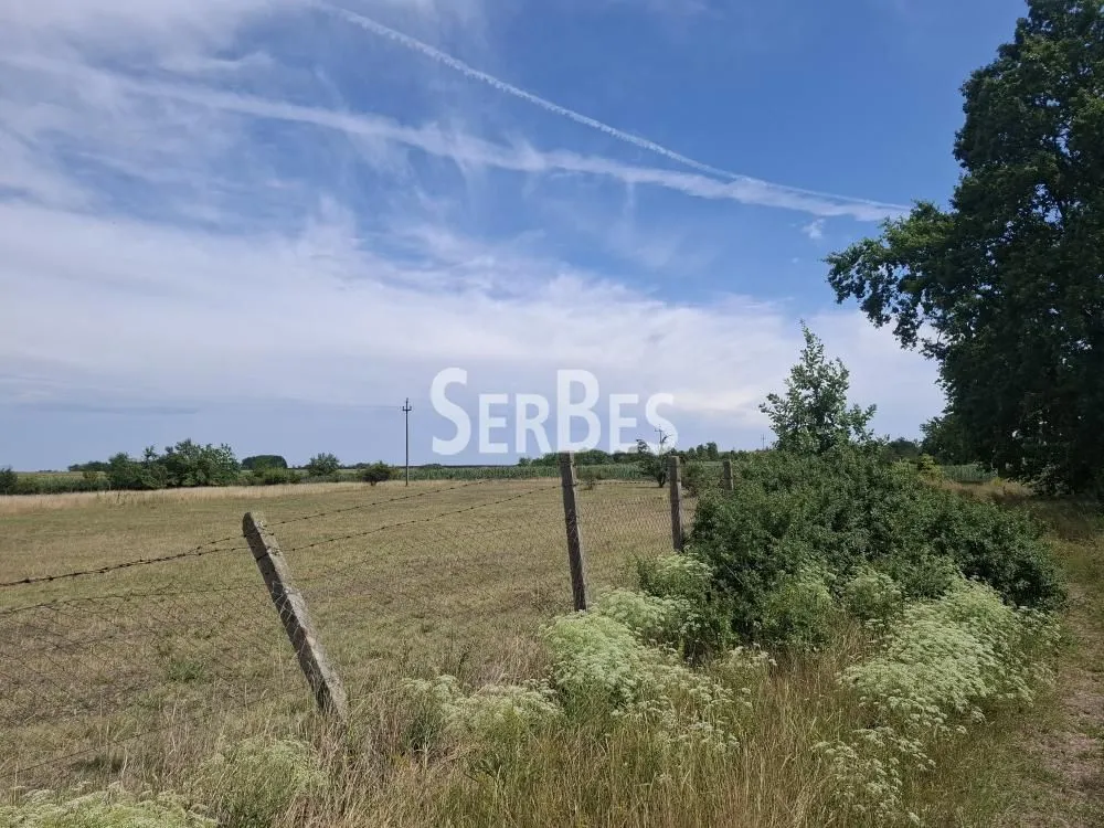 Prodaja, plac, 19197m², Čenej, Novi Sad Sve Podlokacije