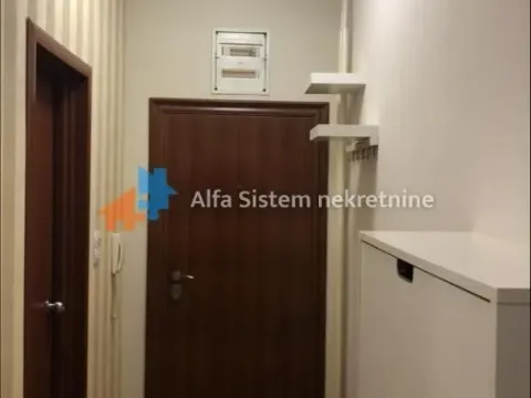 Rent, two bedroom apartment, 50m², Vračar Sve Podlokacije, Beograd - image 5