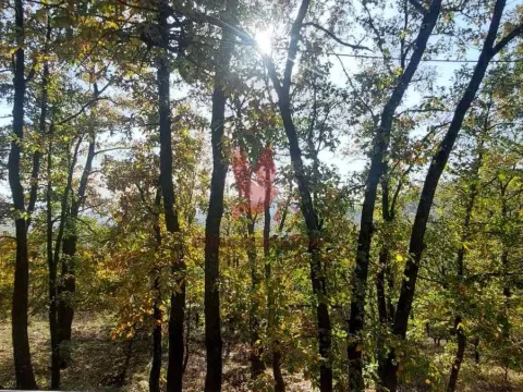 Prodaja, kuća, 70m², Mladenovac, Beograd - image 4