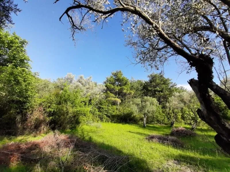 Prodaja, plac, 350m², Kavač, Kotor