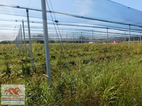 Sale, land lot, 350m², Kragujevac, Srbija - image 23