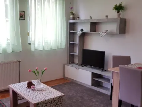 Izdavanje, jednosoban stan, 35m², Centar, Novi Sad - image 12