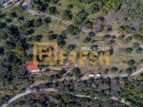 Prodaja, plac, 7125m², Herceg Novi, Crna Gora - image 5