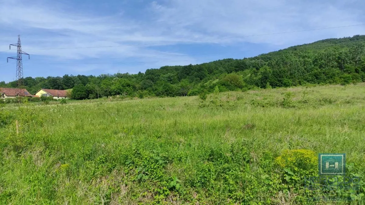 Prodaja, plac, 216600m², Resavica (varošica), Despotovac