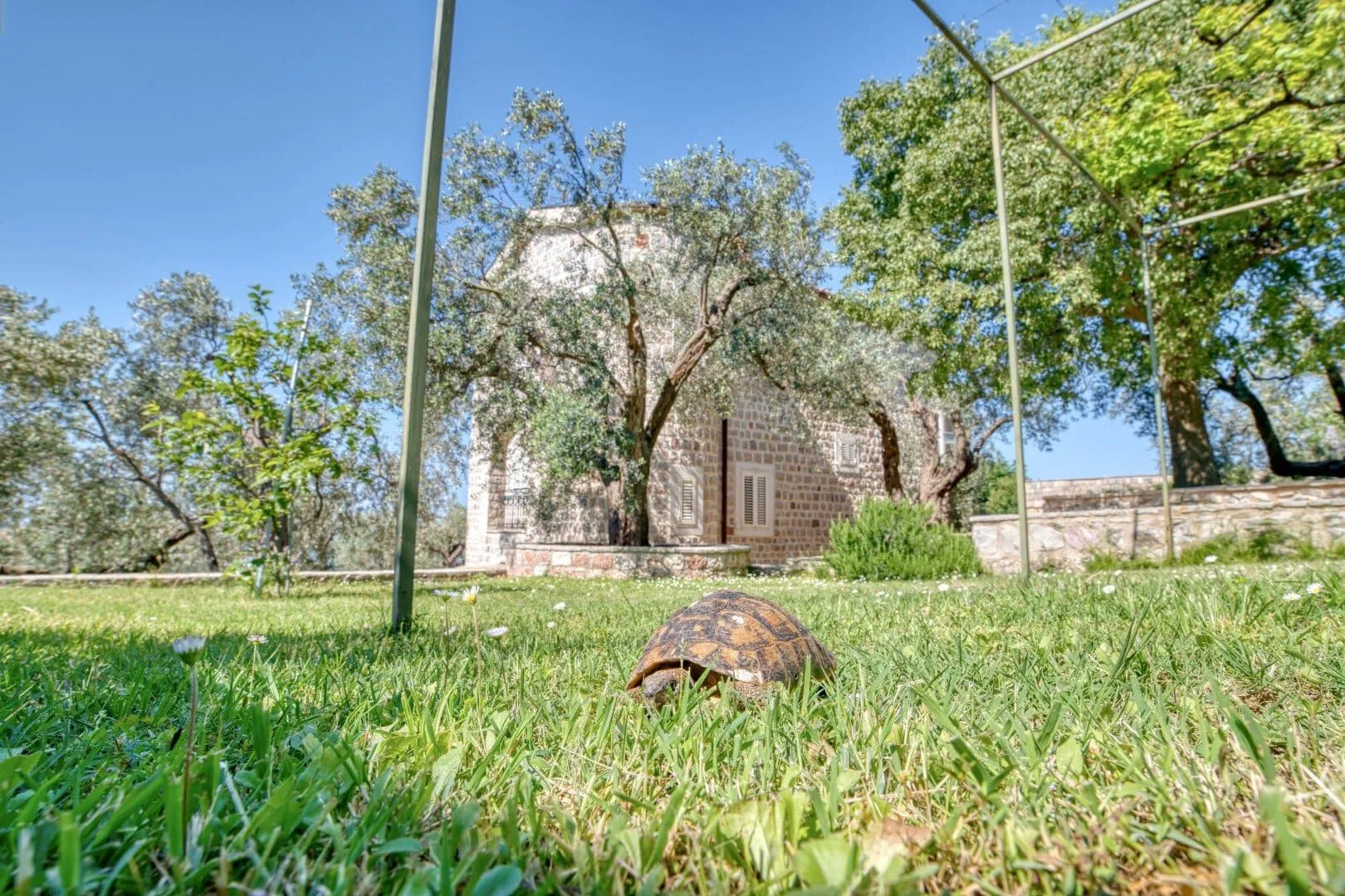 Sale, house, 480m², Reževići, Budva
