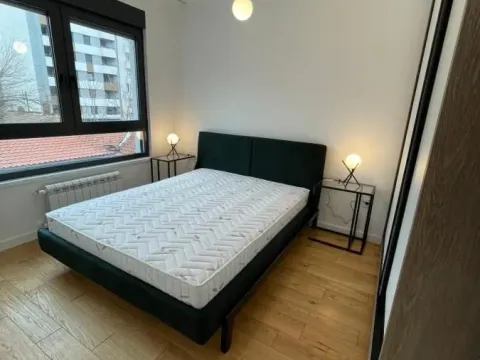 Izdavanje, dvosoban stan, 50m², Crveni Krst, Beograd - image 7