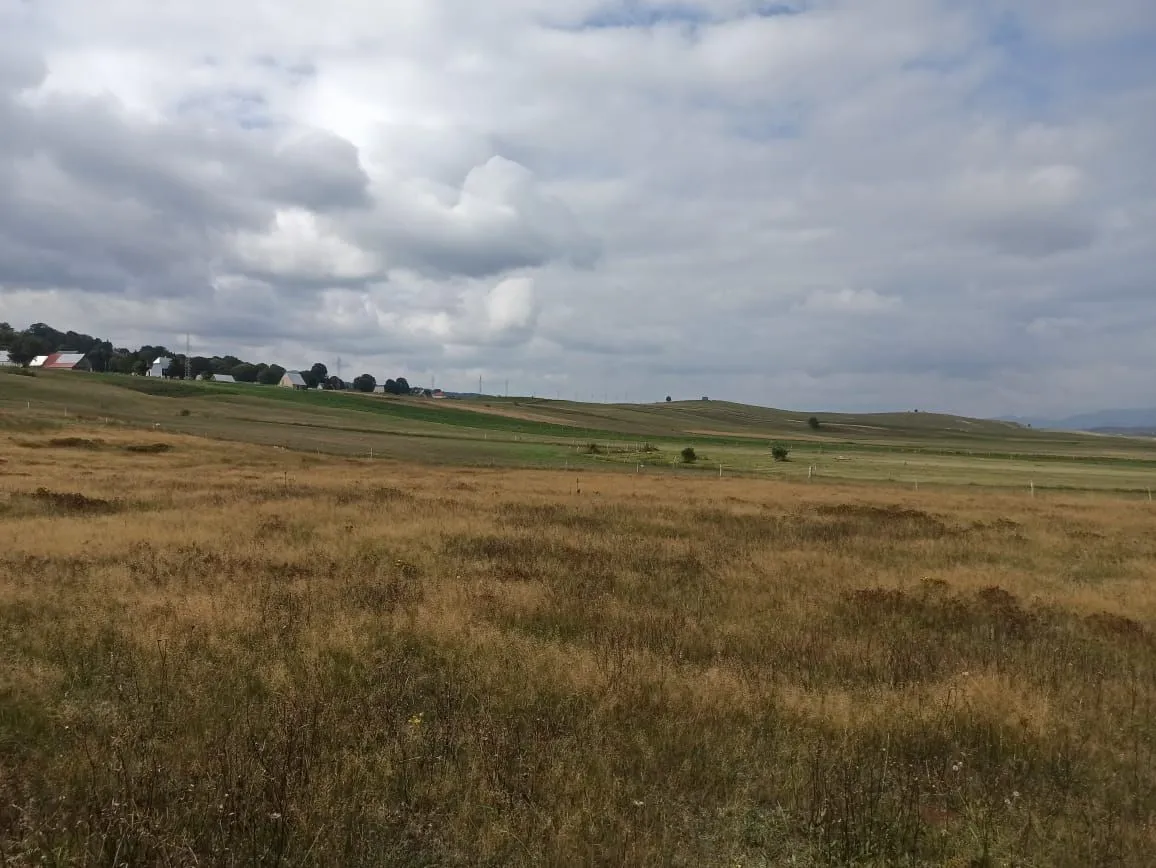 Prodaja, plac, 5435m², Žabljak, Crna Gora