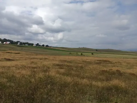 Prodaja, plac, 5435m², Žabljak, Crna Gora - image 6