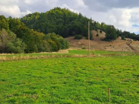 Prodaja, plac, 70000m², Veruša, Podgorica - image 11