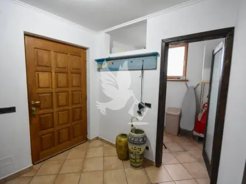 Prodaja, kuća, 246m², Mladenovac, Beograd - image 11