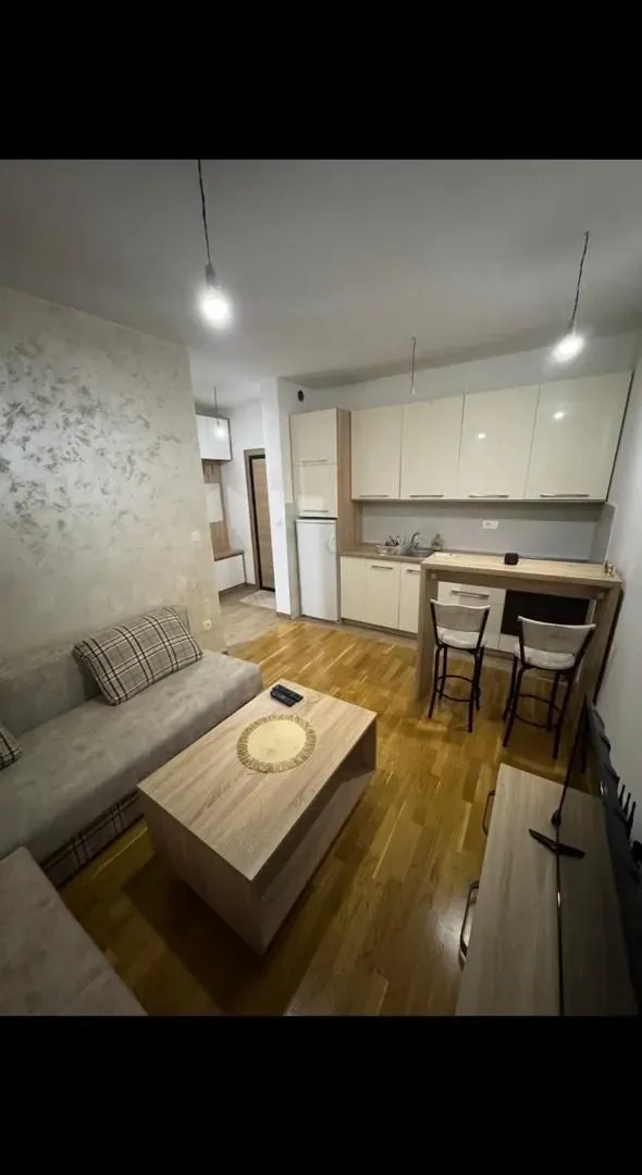 Rent, studio apartment, 22m², Zabjelo, Podgorica