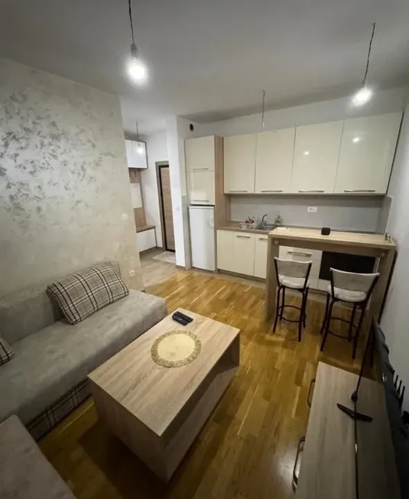 Izdavanje, garsonjera, 22m², Zabjelo, Podgorica