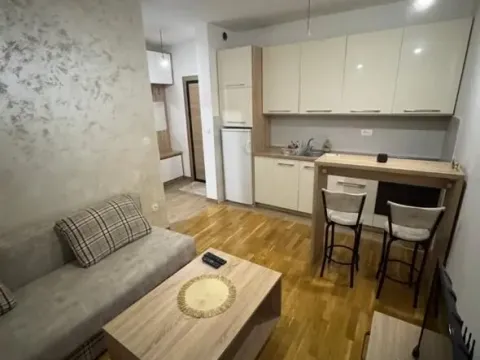 Rent, studio apartment, 22m², Zabjelo, Podgorica - image 1