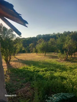 Pogled na zeleno dvorište sa stablima i travnjakom. - image 3