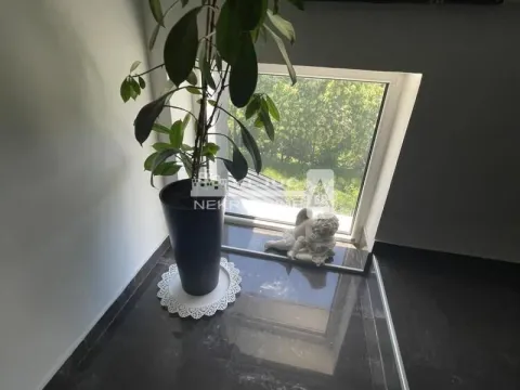 Prodaja, kuća, 520m², Savski Venac, Beograd - image 14