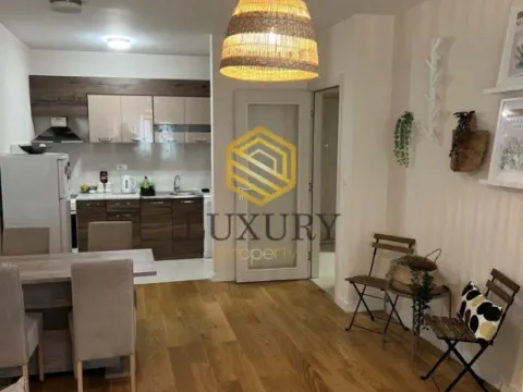 Izdavanje, jednosoban stan, 49m², Central Point, Podgorica - image 8