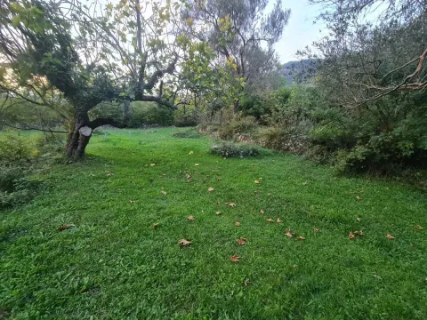 Prodaja, plac, 2171m², Kavač, Kotor - image 2