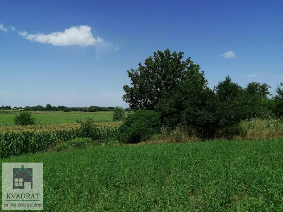 Sale, land lot, 2300m², Zvečka, Obrenovac