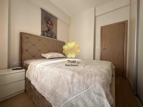 Izdavanje, jednosoban stan, 40m², Ljubović, Podgorica - image 7