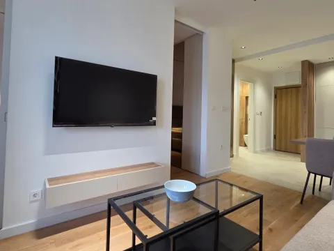 Izdavanje, stan, 44m², Tološka šuma, Podgorica - image 4