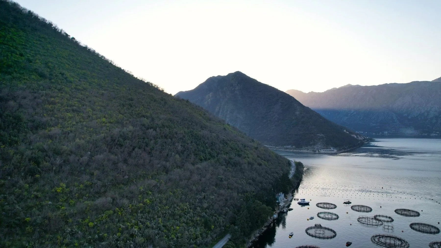 Prodaja, plac, 19000m², Stoliv, Kotor